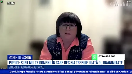 VIDEO | Alina Mungiu-Pippidi, politolog: „Oricând poate fi altă țară în locul Austriei. Riscăm să nu intrăm niciodată în Schengen”