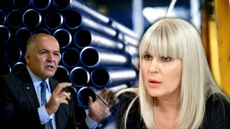 Elena Udrea se dezlănțuie, după ce a aflat că un oligarh din Ucraina a cumpărat fabrica de la Roman: „Se repetă prostia, lașitatea și slugărnicia”