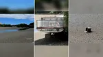 Imagini cu Lacul Herăstrău, după ce a fost secat, filmat din avion și de la firul ierbii. Cum va fi reconfigurat Parcul Regele Mihai I