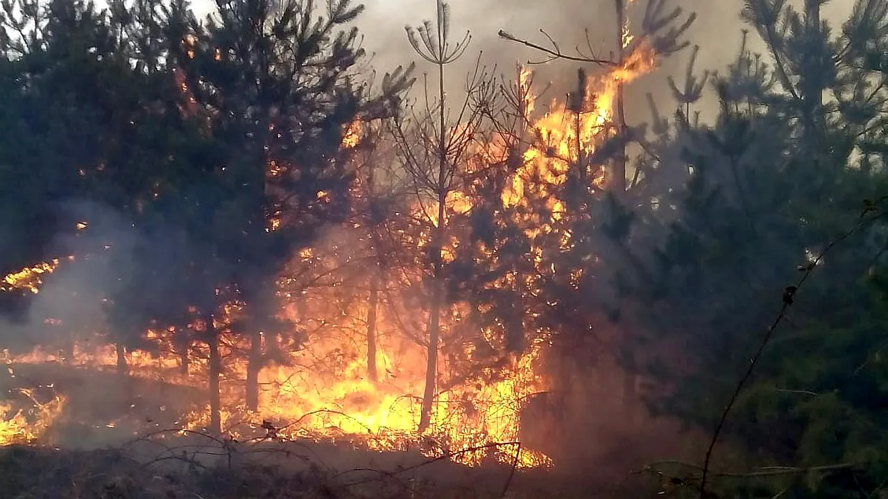Incendiu de pădure în Munții Căpățânii. Pompierii militari intervin cu trei autospeciale (VIDEO)