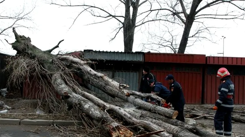 Avertizare Cod galben de vânt valabilă de sâmbătă până luni