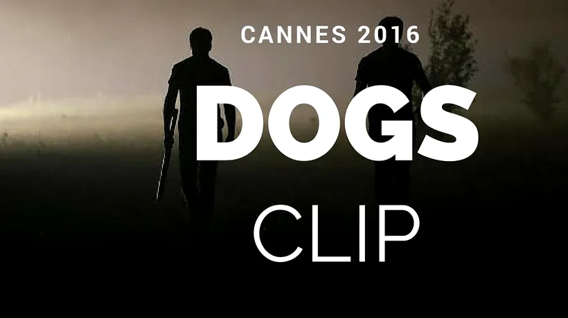 Regizorul român Bogdan Mirică, premiul criticilor la Cannes pentru lungmetrajul Câini