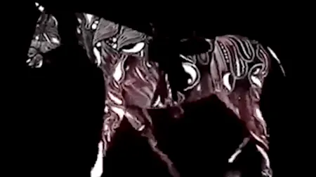 Iluzia optică virală care îți DEZVĂLUIE personalitatea. Tu ce vezi în această imagine?