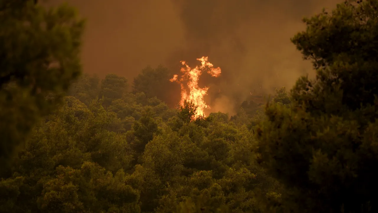 Incendii de vegetație în insula Samos din Grecia: 1.000 de turiști au fost evacuați din calea flăcărilor - FOTO