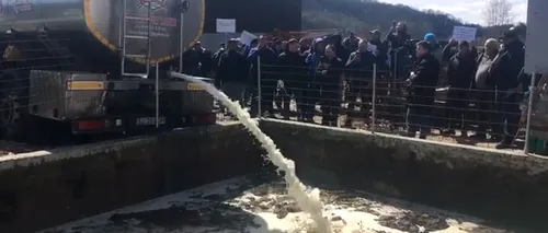 VIDEO | Fermierii din Ardeal au vărsat o cisternă cu lapte, în semn de protest. Care e motivul pentru care preferă să-l arunce, în loc să-l vândă