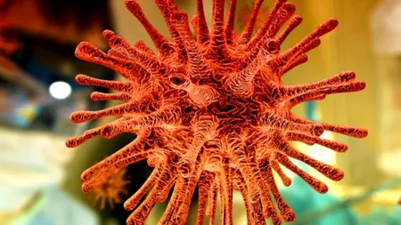 Avertismentul unui biolog român: „Noul coronavirus va deveni tot mai contagios / Vor apărea multe mutații”