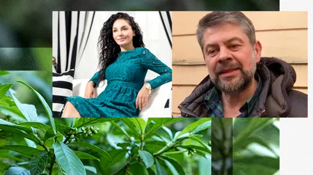 Dosarul „Ayahuasca” intră la judecata pe fond, după o amânare de peste 3 ani / Gelu Oltean, fostul șef al serviciului „Doi și-un sfert”, între acuzați