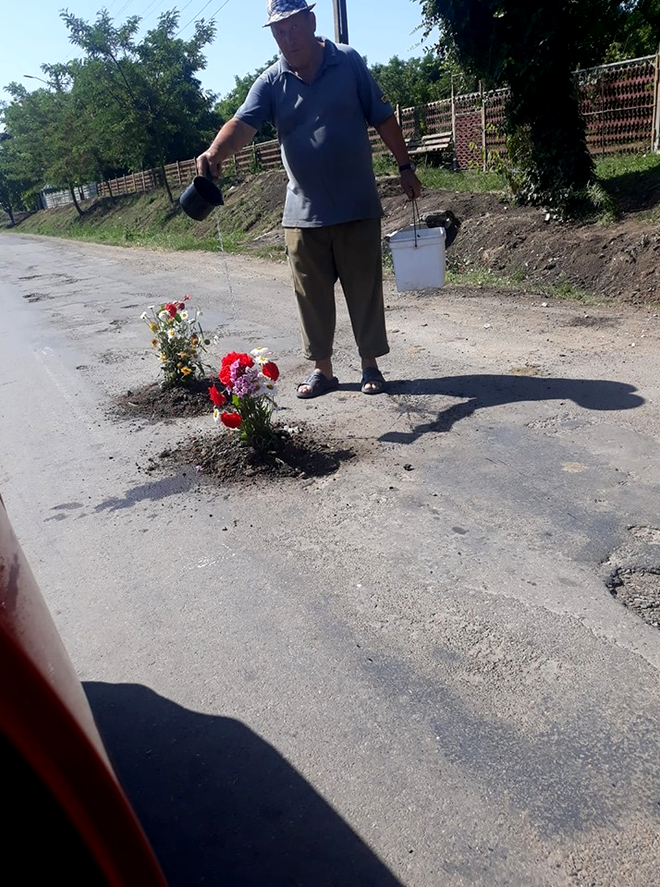 flori în asfalt