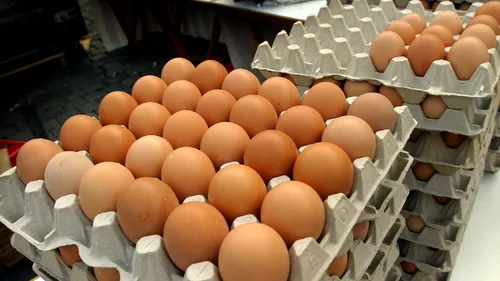 Încă 300.000 de ouă CONTAMINATE cu Fipronil au ajuns ÎN CONSUM
