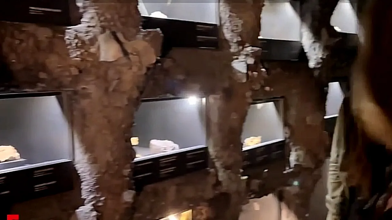 Comoară SURPRINZĂTOARE descoperită de un grup de elevi la subsolul unui muzeu din Iaşi