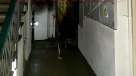 FOTO | Clipe de panică pentru Andreea Răducan. Ușa apartamentului campioanei a fost incendiată