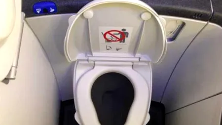 Cercetătorii au găsit un nou obiect de studiu: Toaletele din avioanele comerciale