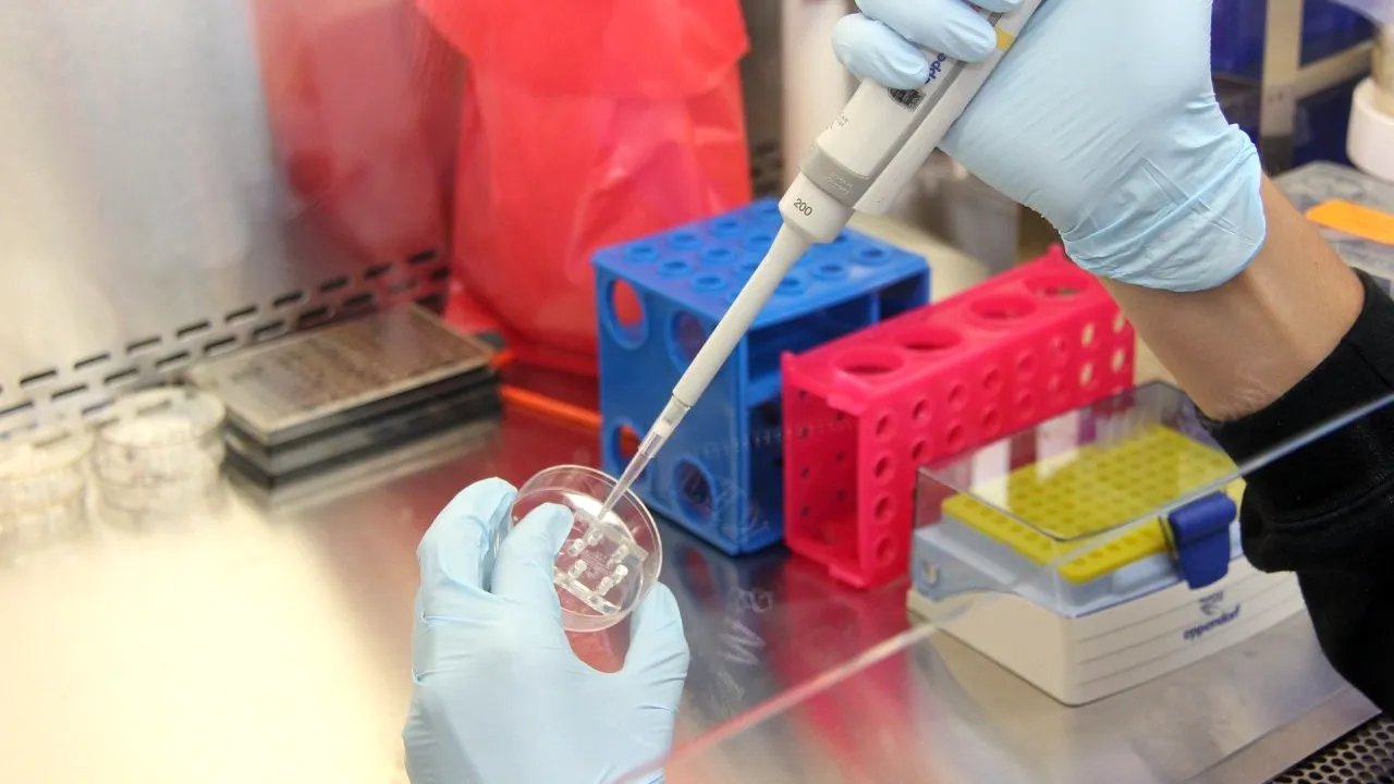 O echipă de cercetători din SUA a identificat un nou posibil tratament antiviral împotriva Covid