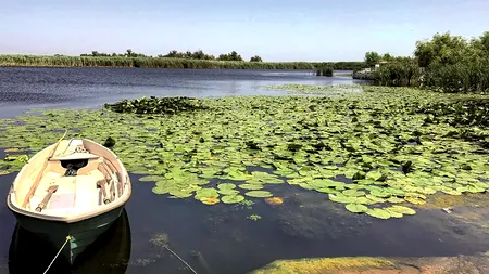 Turiștii fug de Delta Dunării după alertele cu drone. Primarul din Tulcea: „Ne-a afectat cel mai mult”