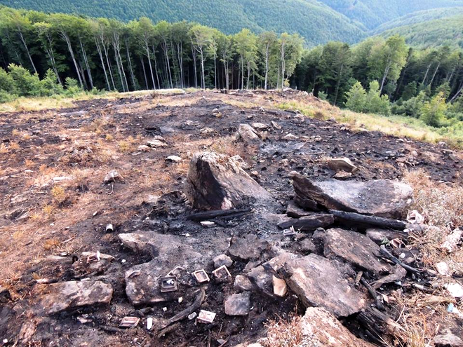 Organizație de mediu:Se fac pregătiri pentru a fi tăiate păduri seculare din Parcul Național Semenic