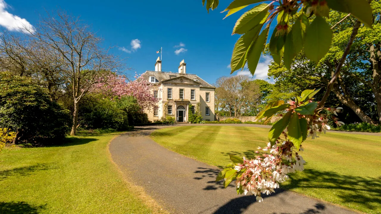 Țara care a anunțat că taxează conacele și avioanele private ale bogaților ca să-și protejeze săracii, în timp ce Trump dă peste cap cea mai celebră băutură a lumii