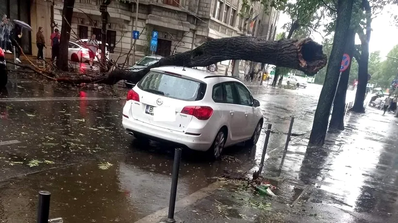 FURTUNA din București a doborât mai mulți copaci și unii au căzut pe firele electrice, iar alții pe mașini. ISU-BIF a anunțat ce zone au fost afectate