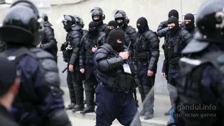 Percheziții la membrii grupărilor Caran, Duduianu și Vancică