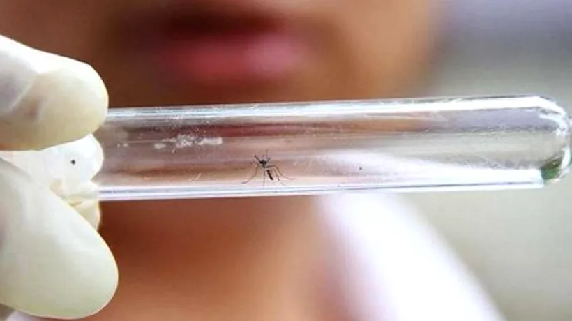 Un prim caz de infectare cu virusul Zika, depistat în Chile