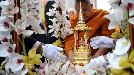 Cercetătorii l-au studiat timp de 12 ani pe „cel mai fericit om din lume