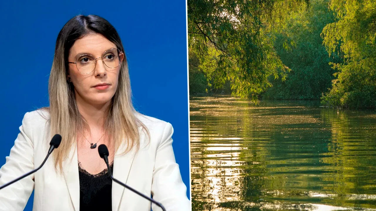 Ministrul Diana Buzoianu reorganizează Rezervaţia Biosferei Delta Dunării: 