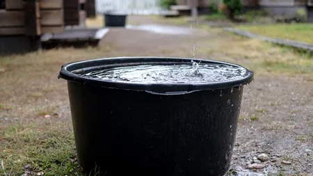 Factură record la Buzău: 313 lei pentru... apa de ploaie! Explicațiile companiei de apă din județ