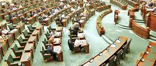 Senatul a adoptat legea potrivit căreia data alegerilor legislative va fi stabilită de Parlament, nu de Guvern
