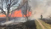 Incendiu izbucnit în Parcul Natural Văcăreşti din Capitală, foarte aproape de Splaiul Unirii