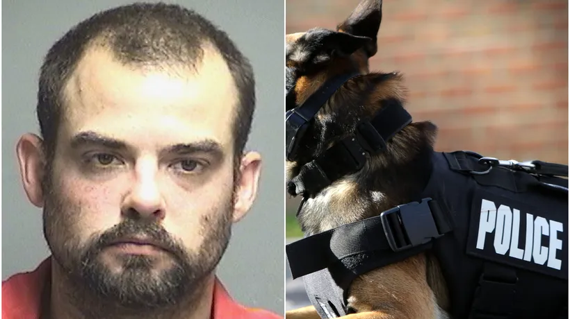 Un bărbat a mușcat câinele echipajului de poliție care a mers să-l rețină. Care este starea animalului