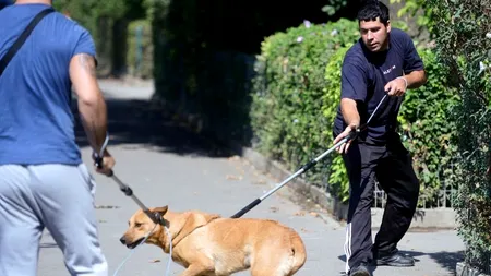 Sute de persoane protestează față de eutanasierea câinilor fără stăpân, în Capitală