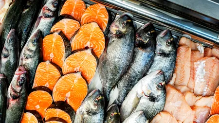 Peștele care e la fel de sănătos ca somonul, dar e de zece ori mai IEFTIN. Puțini români îl consumă des