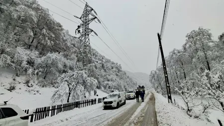 Distribuţie Energie Electrică anunţă când va reporni alimentarea cu energie electrică în judeţele afectate de vânt şi zăpadă