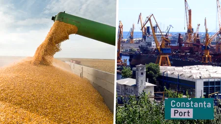 Blocaj major la transportul cerealelor către Portul Constanța. Fermierii reclamă întârzieri de până la 10 zile și costuri ridicate