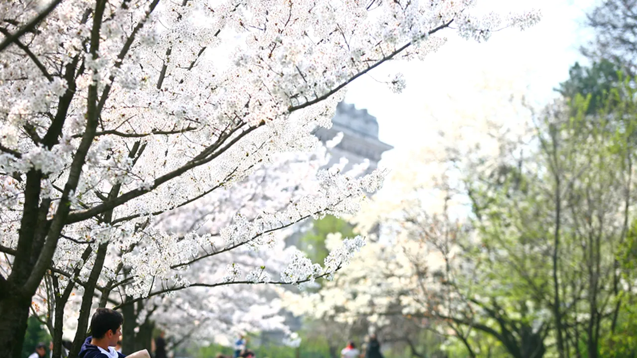 PROGNOZA METEO ANM. Cum va fi vremea luni și marți