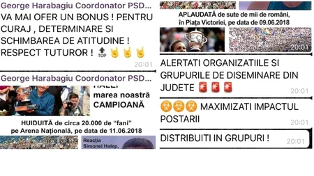 Primar Constanța scuze Halep pentru campania fake news pe Facebook