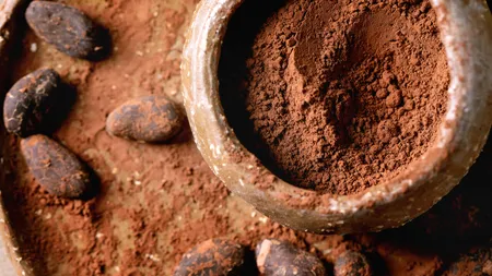 Cum au reușit cultivatorii de cacao din Bolivia să țină piept febrei aurului. Agricultura ecologică a învins industria minieră