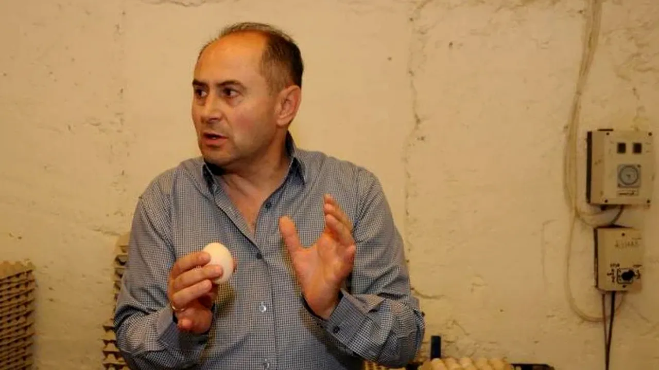 O stație de incubație din Vaslui, motivul scandalului în dosarul „Rețeaua Bogos”, în care a fost audiat și Bolojan. Ar fi generat circa 10 milioane de euro anual, bani negri