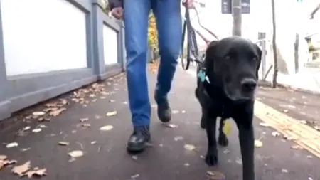 Nevăzători agresați și amenințați în BISERICĂ după ce au intrat cu câinii ghizi. „Au spus că ne taie picioarele”