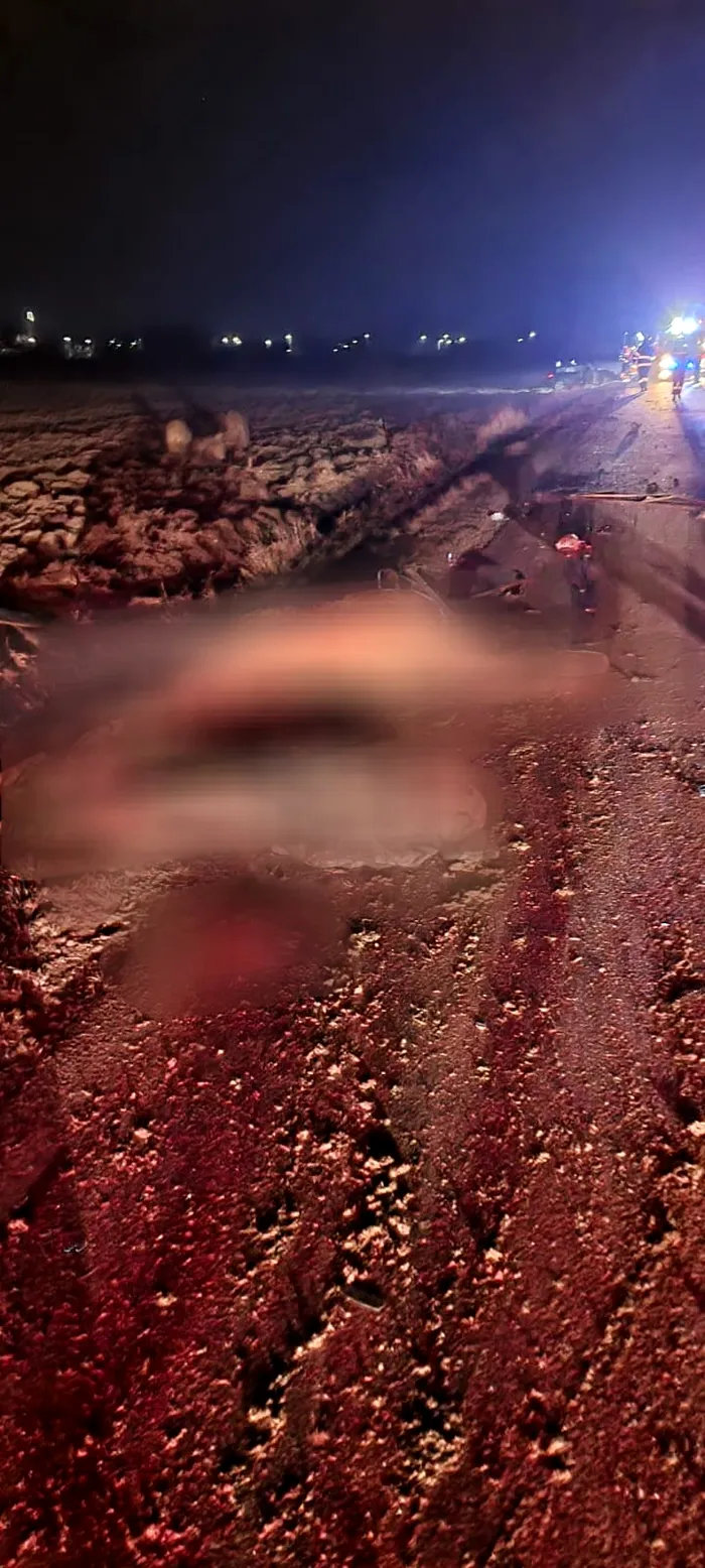 FOTO - VIDEO | Accident groaznic în Ilfov: Un șofer a intrat într-o căruță. Au murit atât el, cât și căruțașul și calul acestuia. „Are acul la 190 km/h” / Imagini cu puternic impact emoțional / Sursa foto: IPJ Ilfov