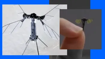 China a fabricat ȚÂNTARUL SPION INVIZIBIL. Drona minusculă intră în casă și pe gaura cheii