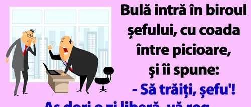 BANCUL nopții | Bulă intră în biroul șefului: „Aș dori o zi liberă, vineri!”