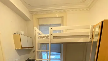 Aceasta e cea mai mică garsonieră din lume. Are frigiderul și aragazul sub pat! Ireal câți bani cere proprietarul pe chirie