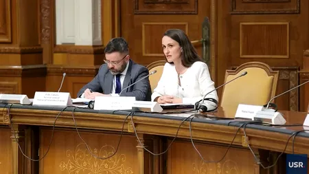 Oana Țoiu anunță că MAE primește un buget de 0,8% din PIB pentru 2026: „E ultimul an în care ne permitem să nu investim suficient în politica externă”