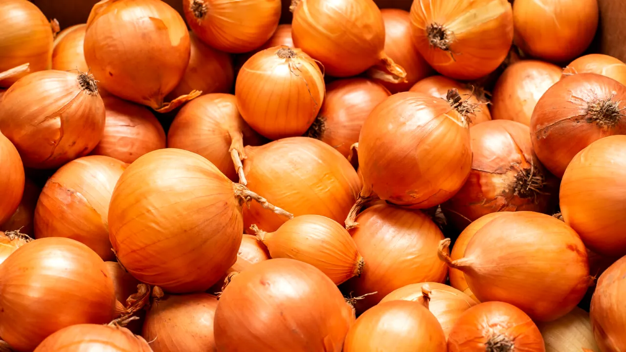 Îți dau lacrimile! Cât a ajuns să coste un kilogram de CEAPĂ, la piață. Este secetă la nivel mondial