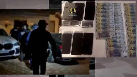 Rețea de proxeneți națională DESTRUCTURATĂ în România. Val de percheziții în mai multe județe