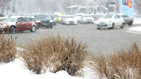 Cum își pot produce șoferii propria SOLUȚIE pentru dezghețarea parbrizului. Procesul este simplu și la îndemâna oricui