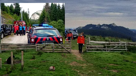 FOTO | Un urs a dat atacul la o stână din Dâmbovița. Ciobanul care a vrut să-și salveze animalele a fost mușcat de fiara sălbatică