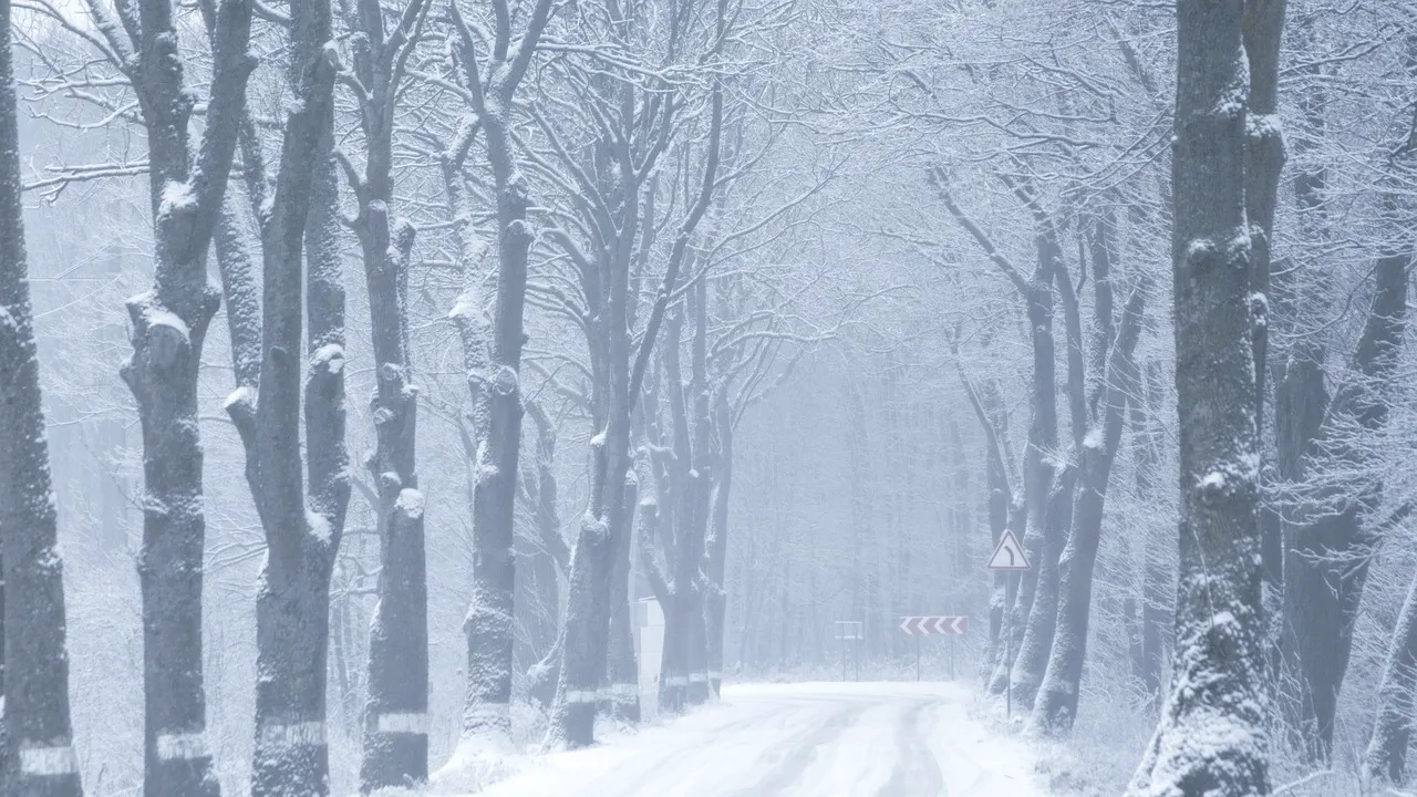 Elena Mateescu, șefa ANM, anunță prognoza pentru toată luna octombrie 2025/Ciclonul abătut peste România anunță ce fel de iarnă vom avea