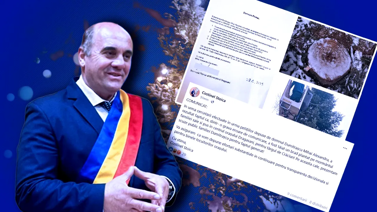 Edilul din Drăgăşani spune că a tăiat din greşeală un brad de pe un mormânt ca să-l împodobească: 