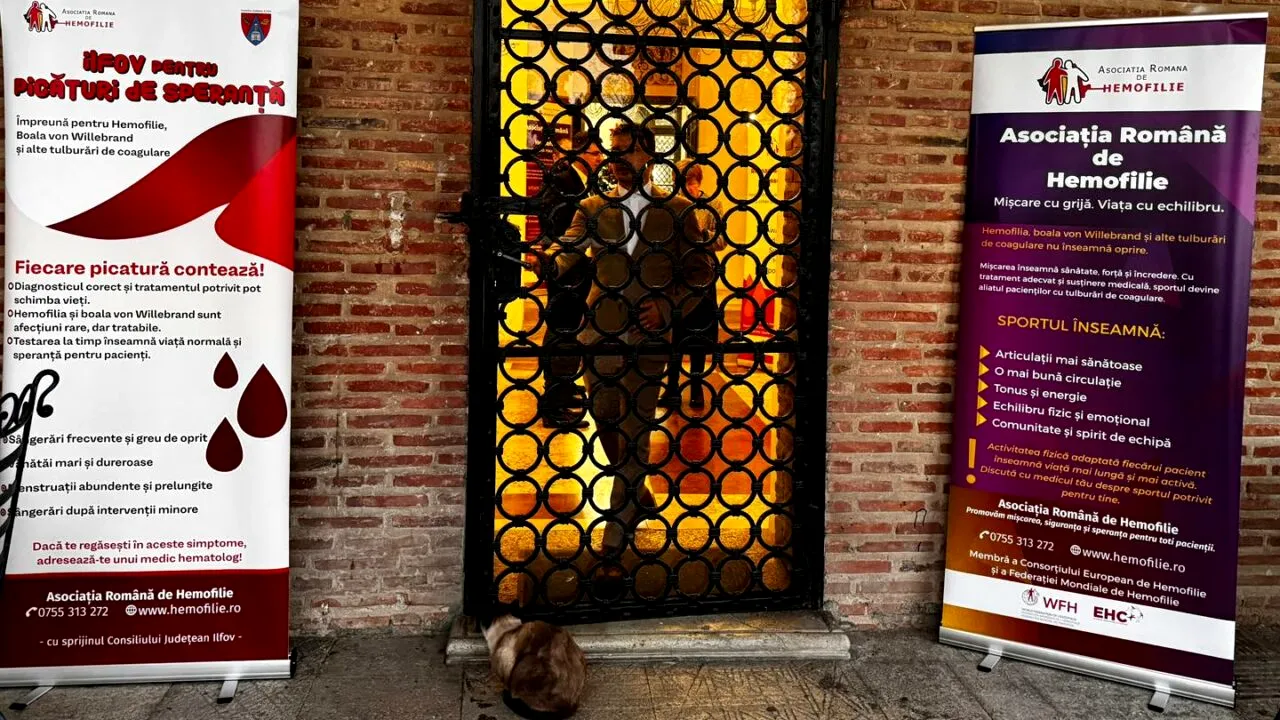 (P) În 2025, Consiliul Judeţean Ilfov a alocat 250.000 de lei pentru finanţarea proiectelor destinate persoanelor cu hemofilie